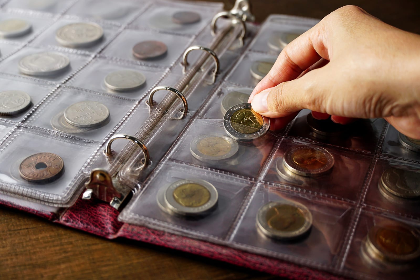 Moedas organizadas sobre mesa de trabalho para catalogação